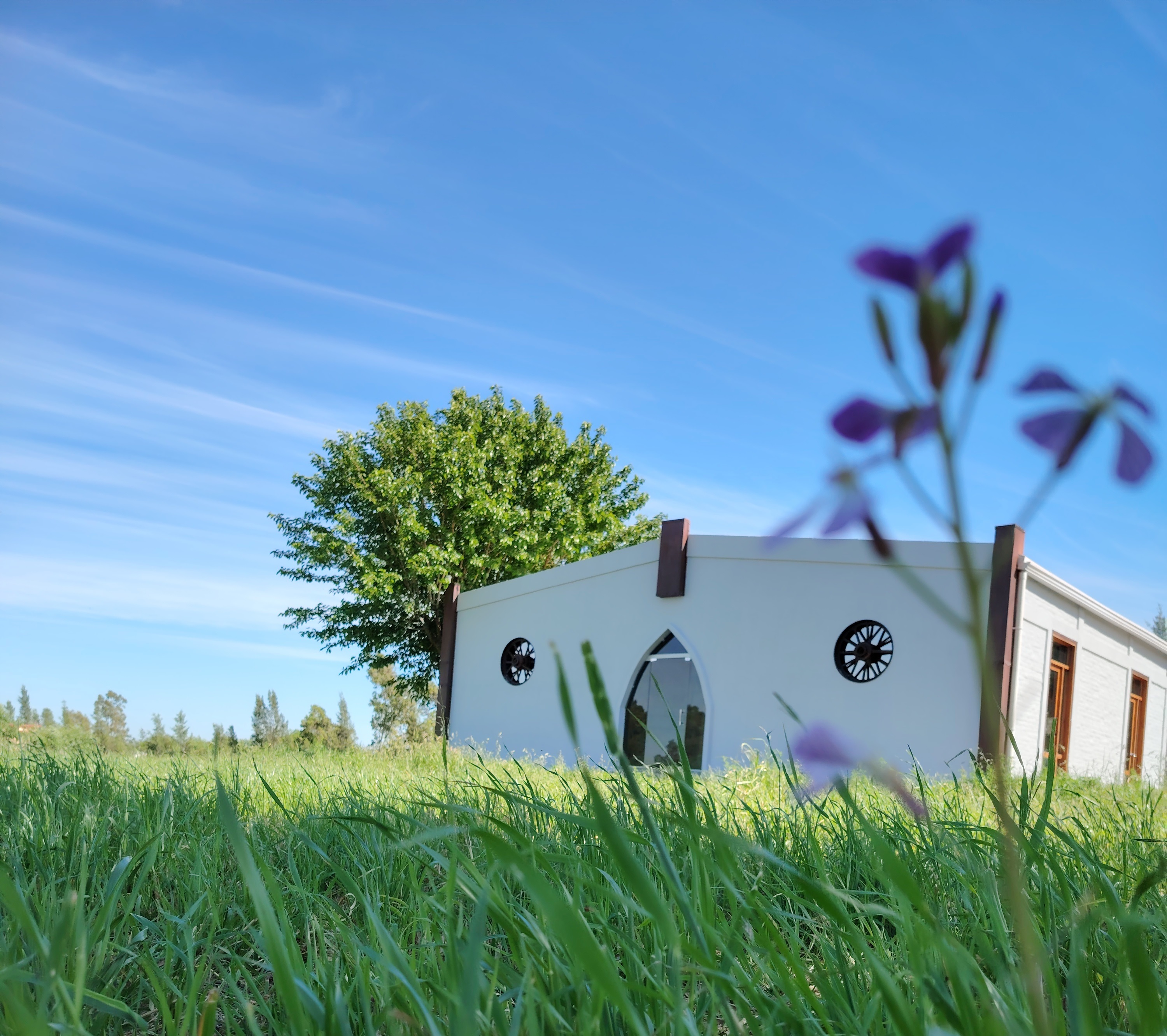 Bodega Finca Las Violetas