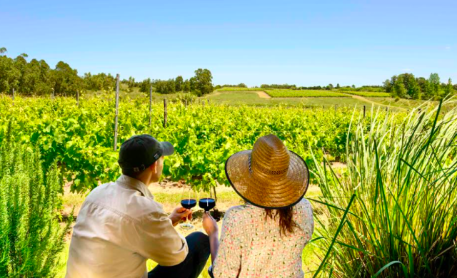 Celebramos el comienzo de la Vendimia