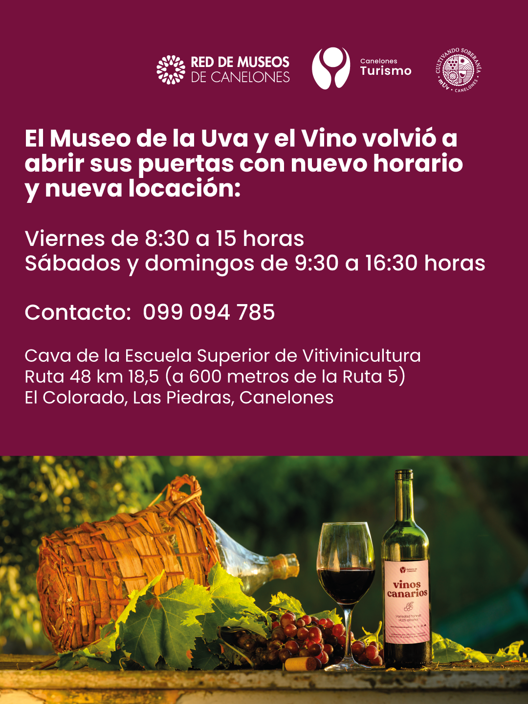Museo de la Uva y el Vino
