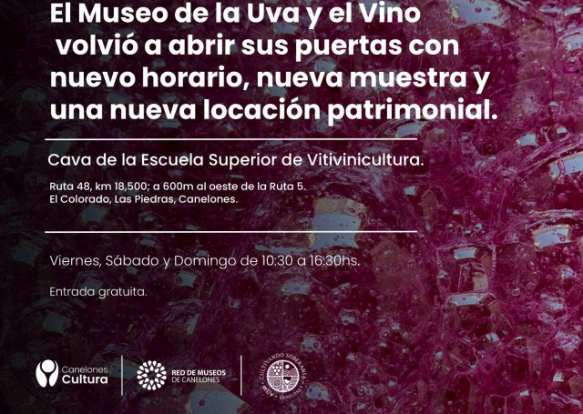 Museo de la Uva y el Vino