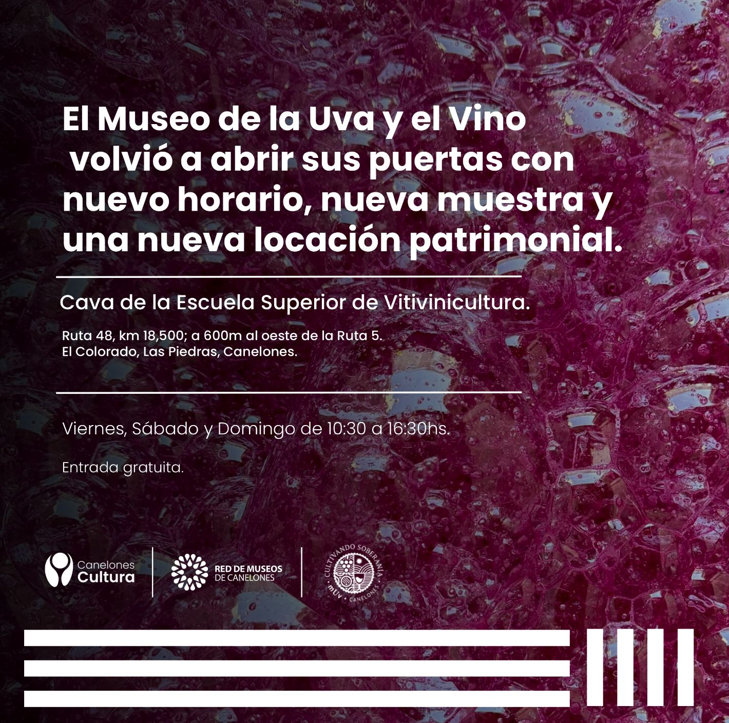 Museo de la Uva y el Vino