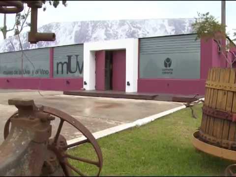 Museo de la Uva y el Vino