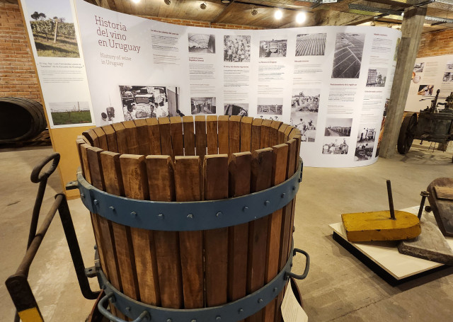 Museo de la Uva y el Vino