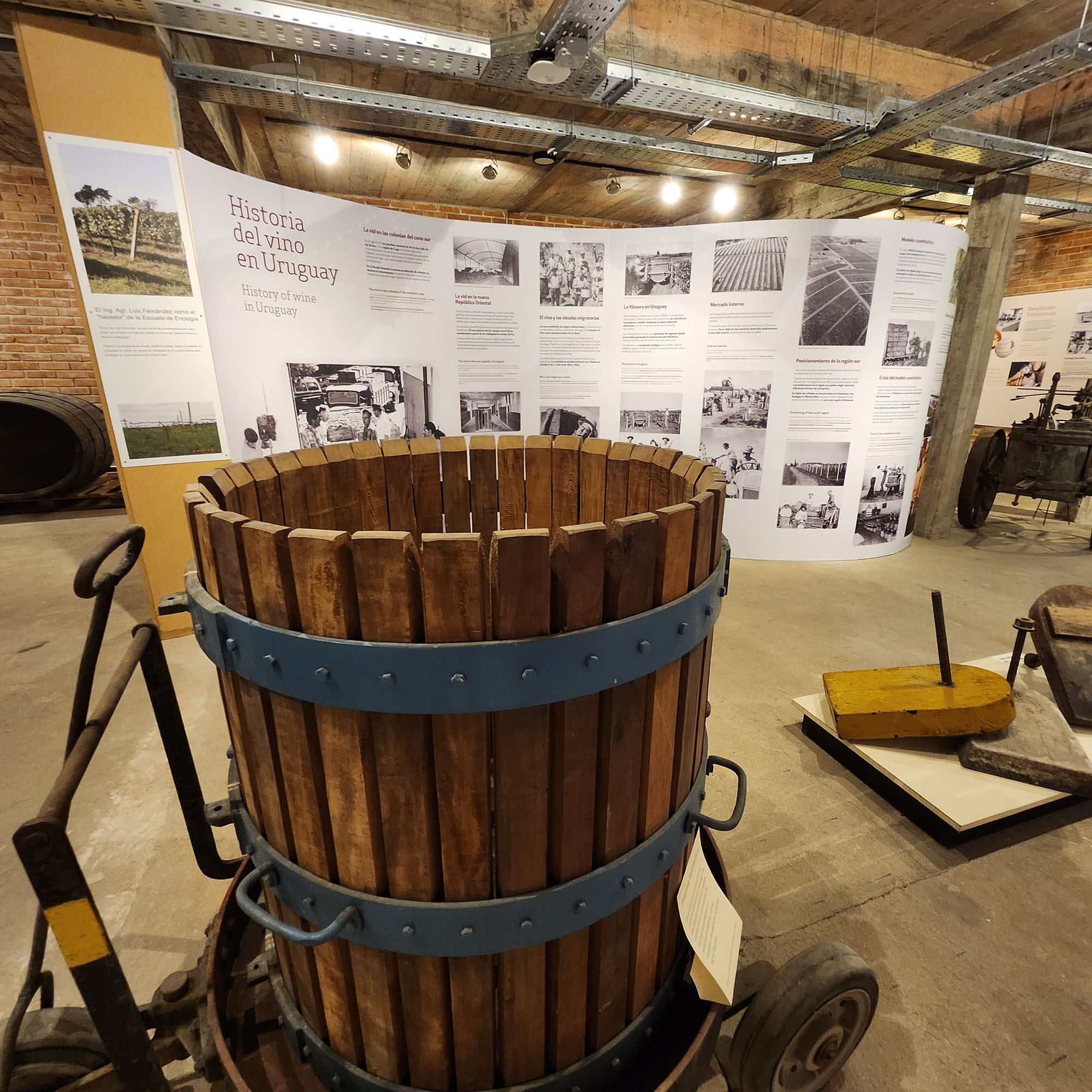 Museo de la Uva y el Vino