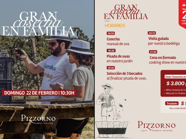 vendimia_26_pizzorno_22_feb