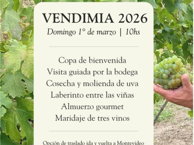 vendimia_26_stagnari_1_mar