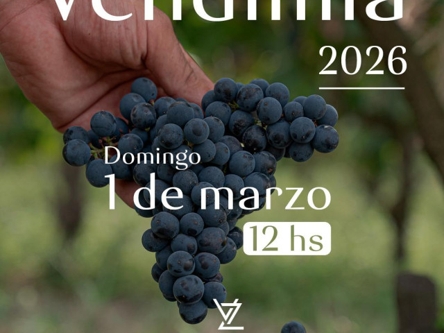 vendimia_26_varela