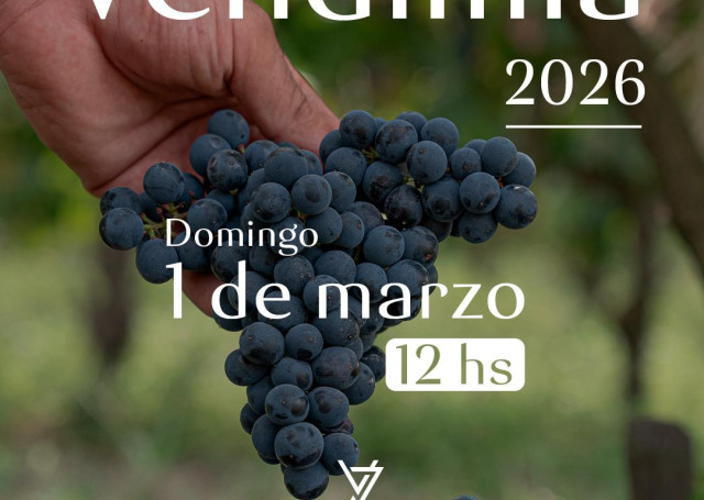 Vendimia en Varela Zarranz