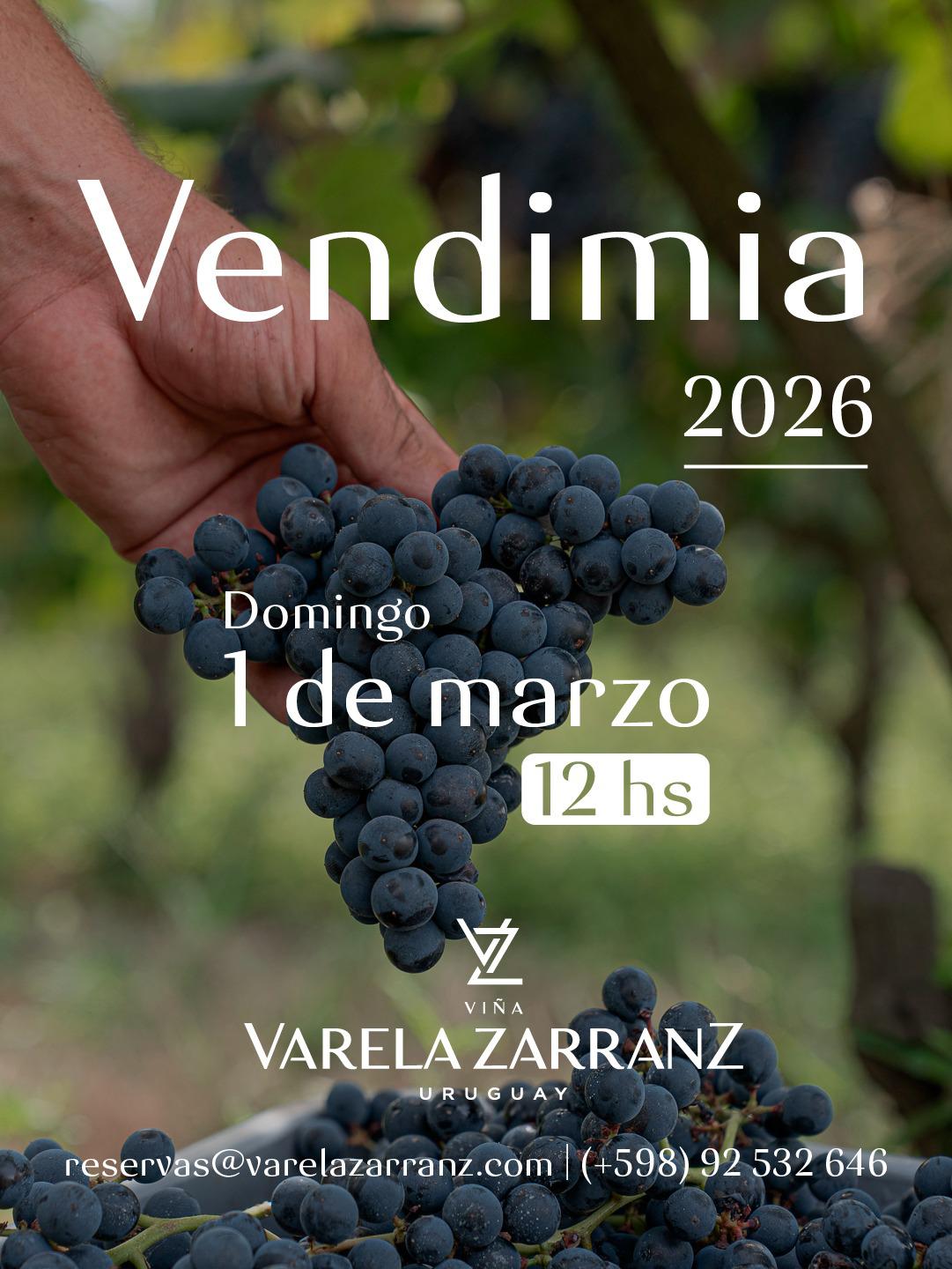 Vendimia en Varela Zarranz