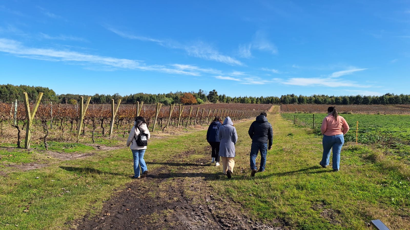 Visita a bodegas ganadoras de Fondo Concursable