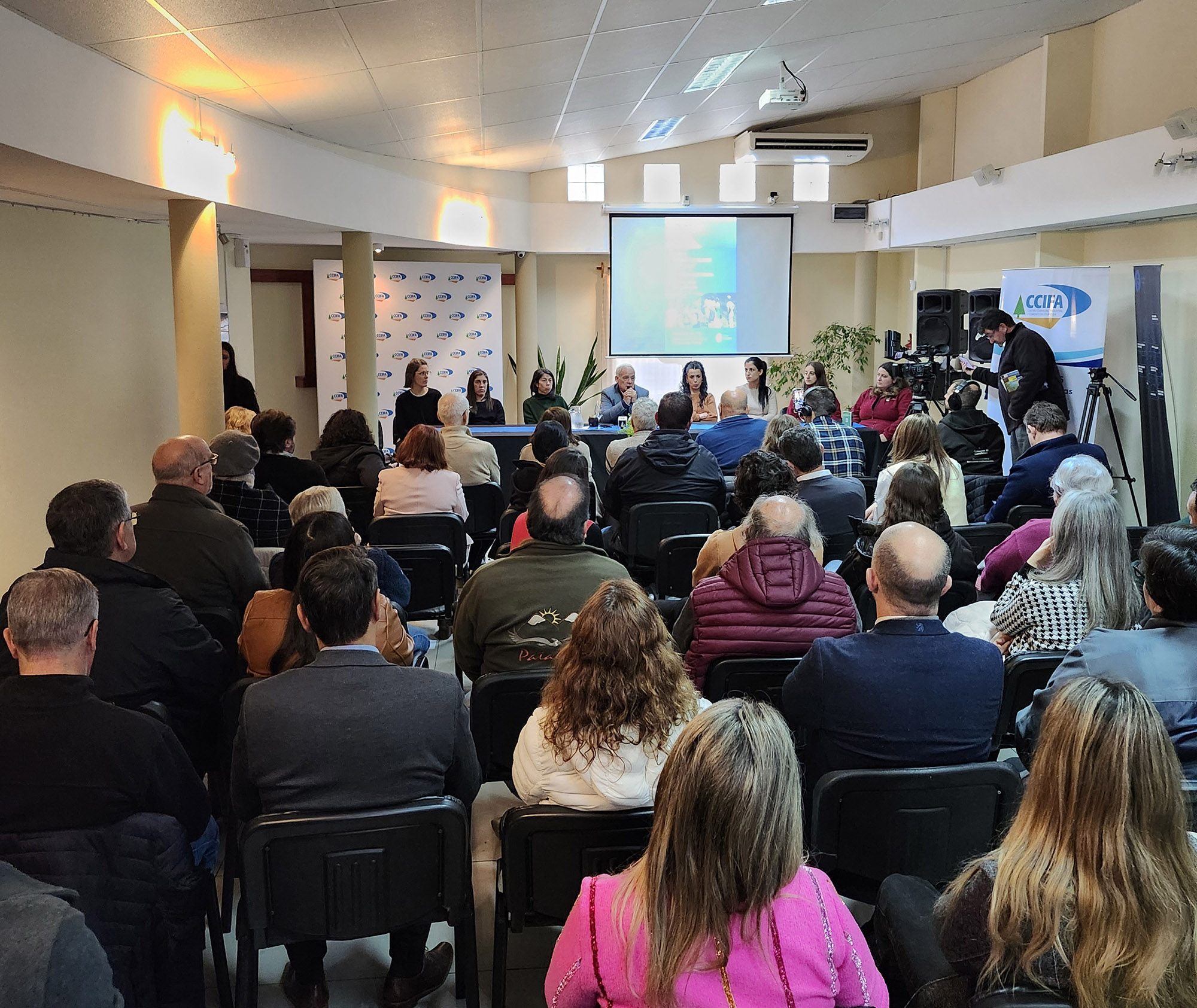 Texto descriptivo de la imagen