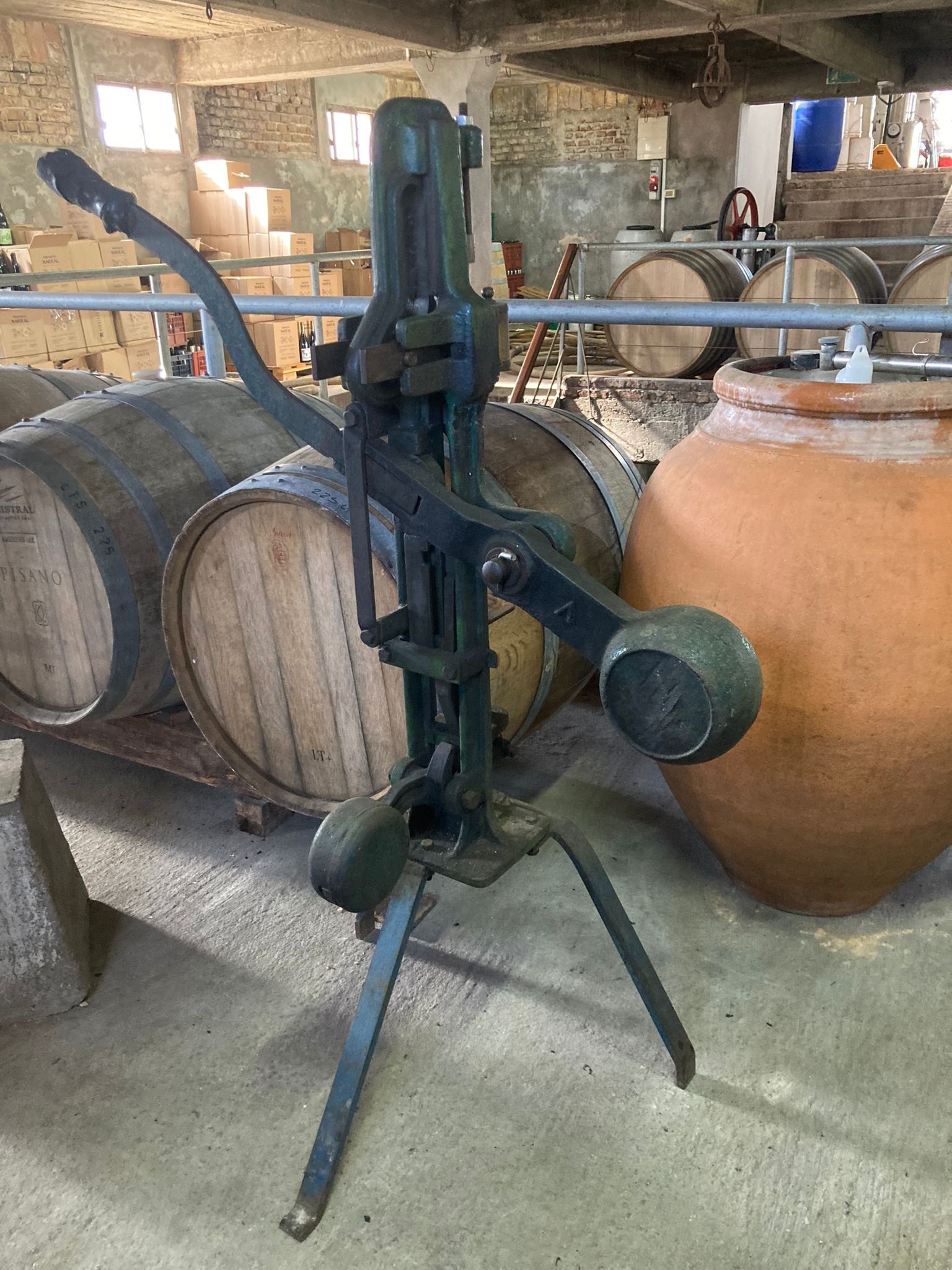 Texto descriptivo de la imagen