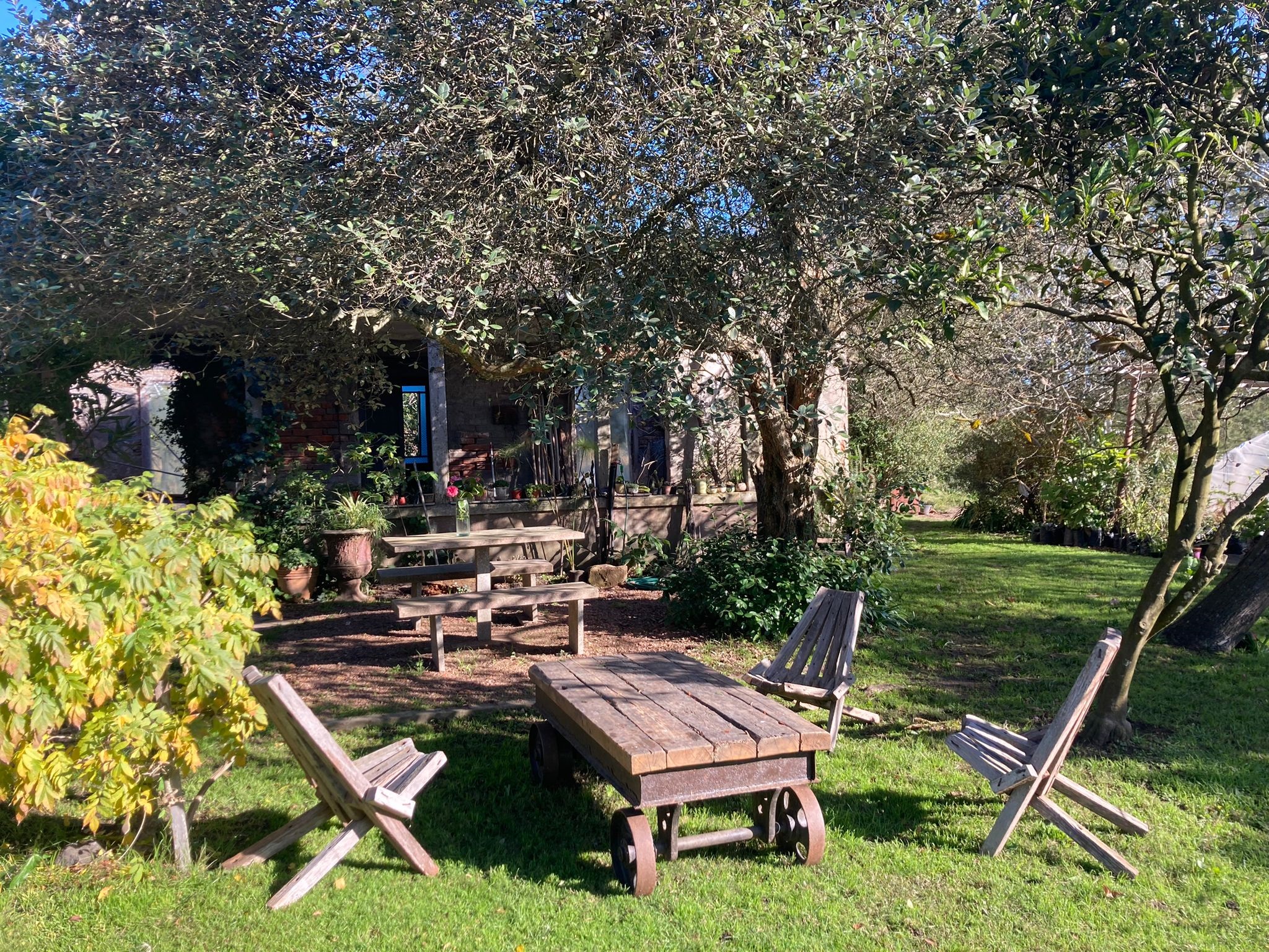 Texto descriptivo de la imagen