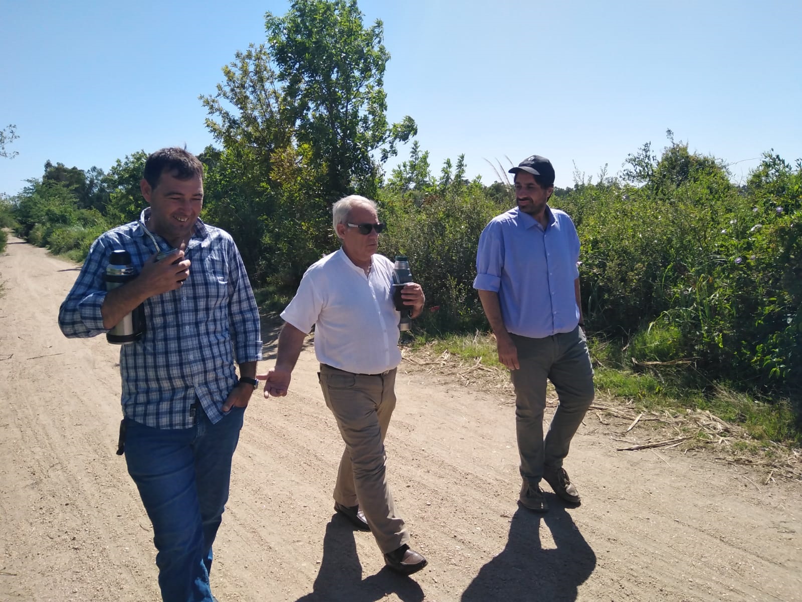 Texto descriptivo de la imagen