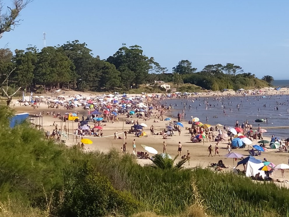 Texto descriptivo de la imagen