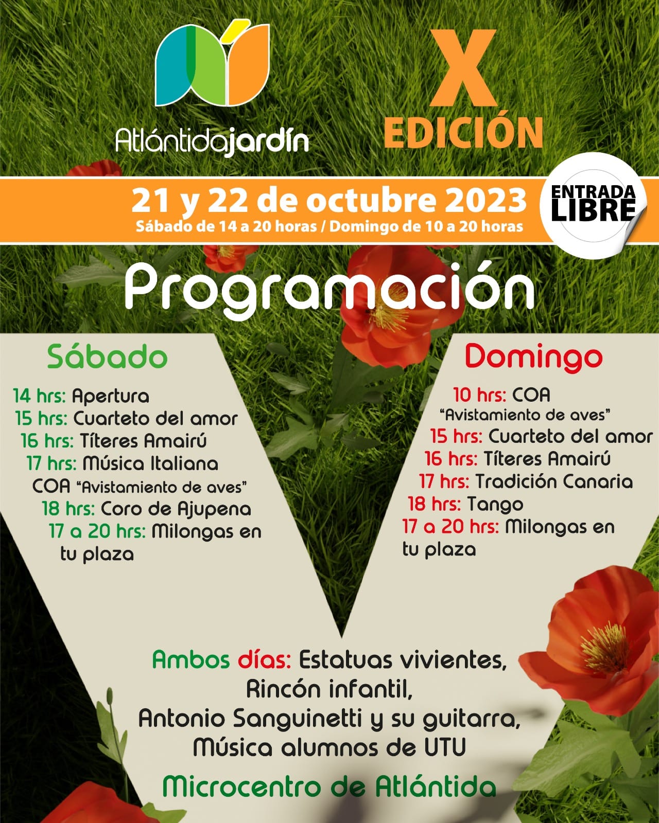 Texto descriptivo de la imagen