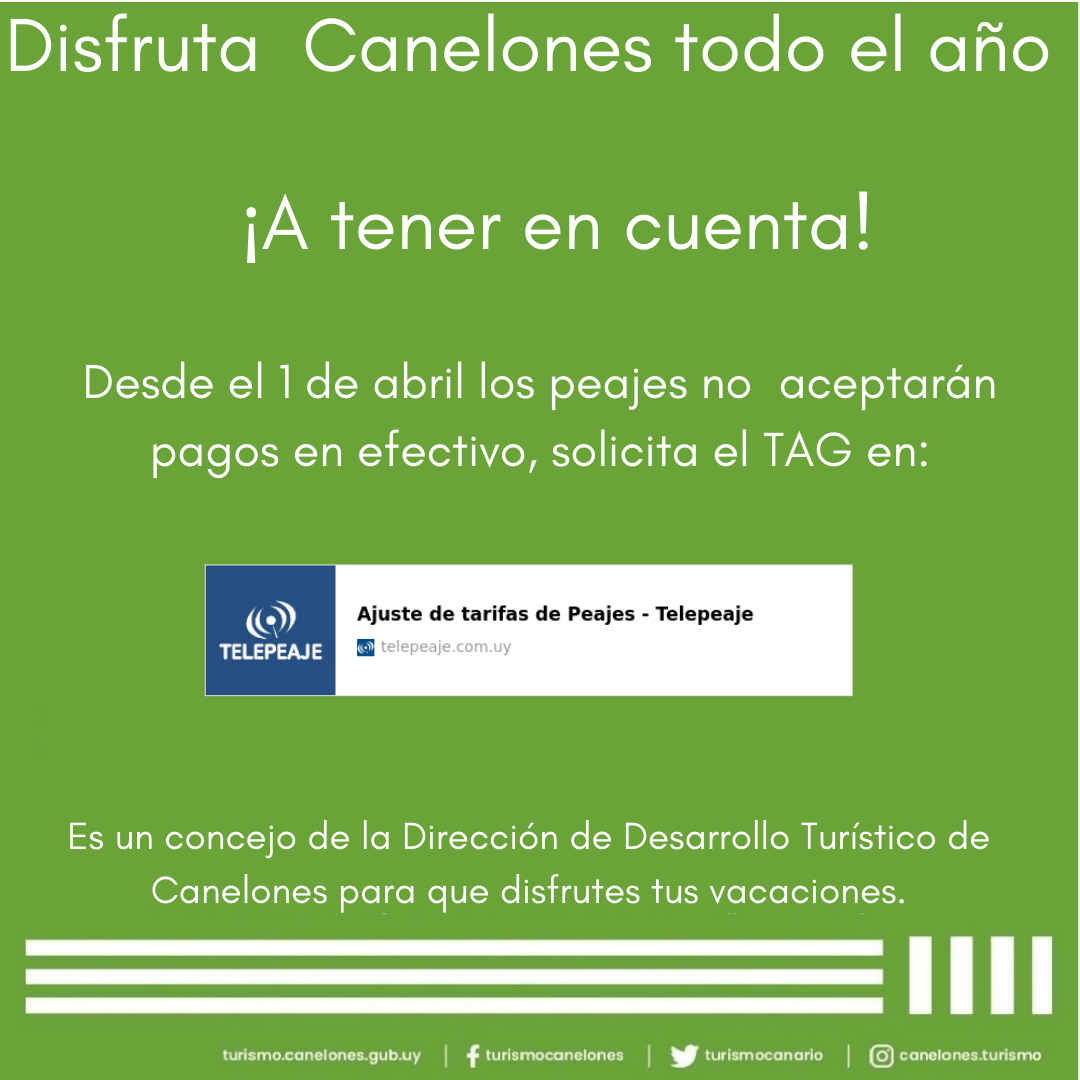 Texto descriptivo de la imagen