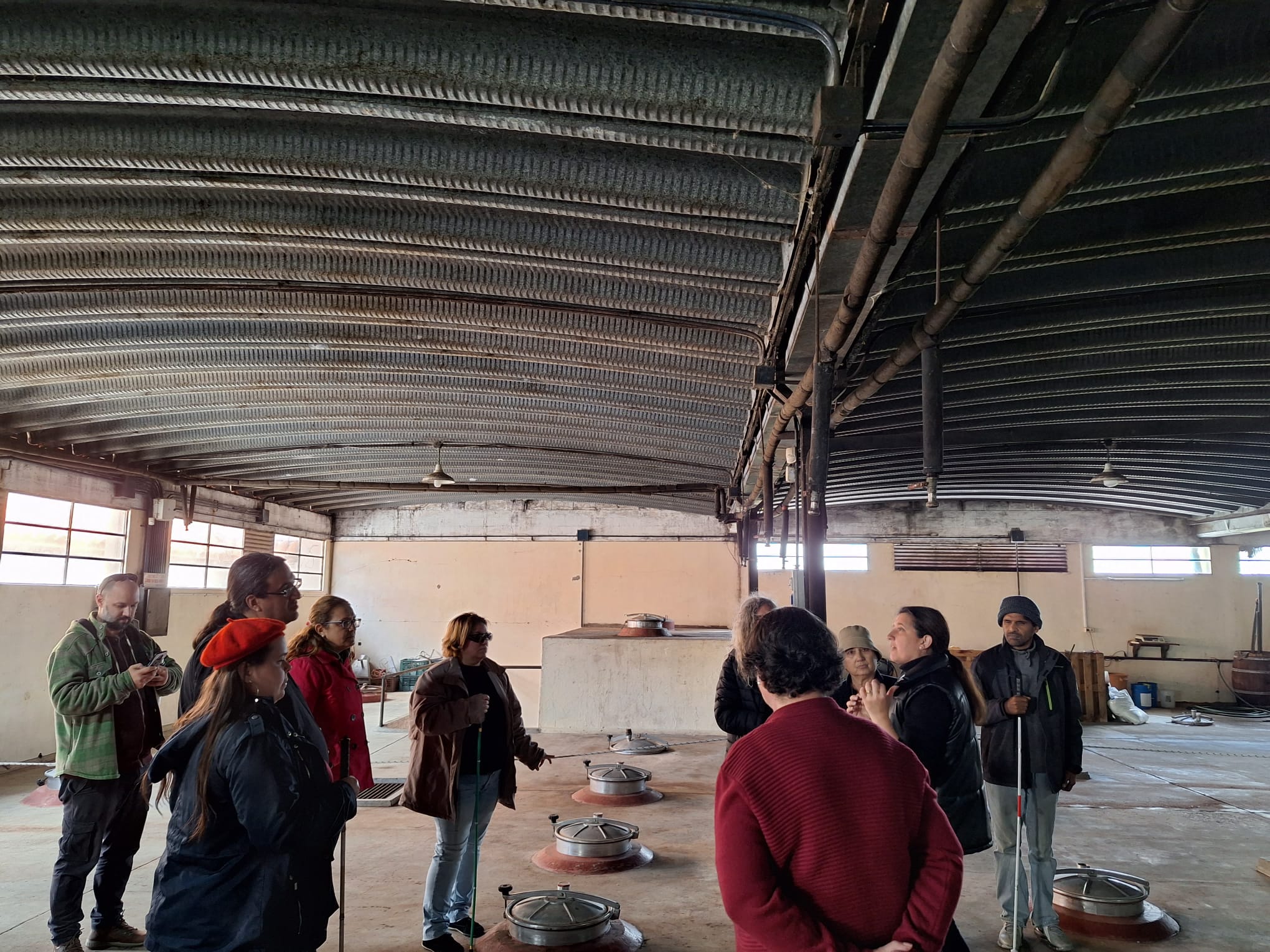 Texto descriptivo de la imagen