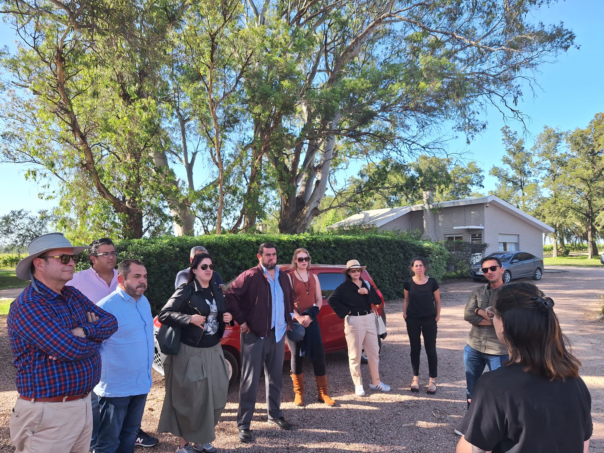 Texto descriptivo de la imagen