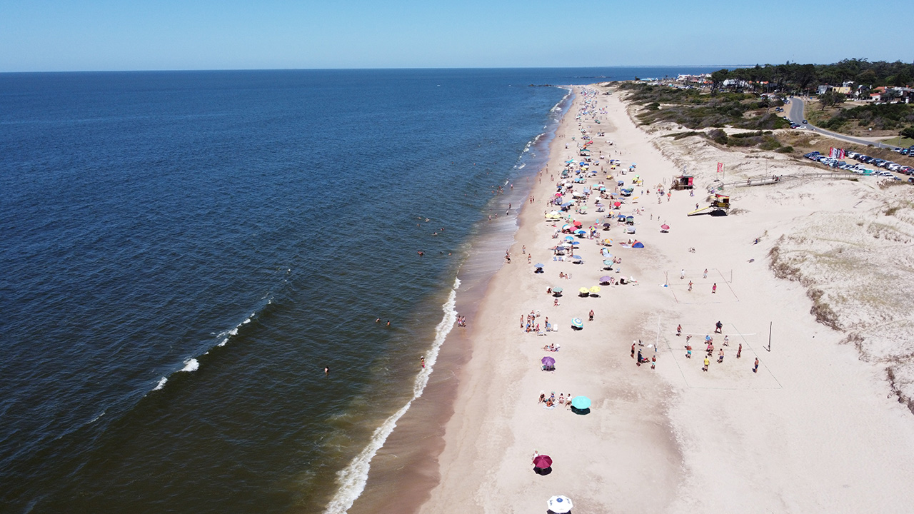 Texto descriptivo de la imagen