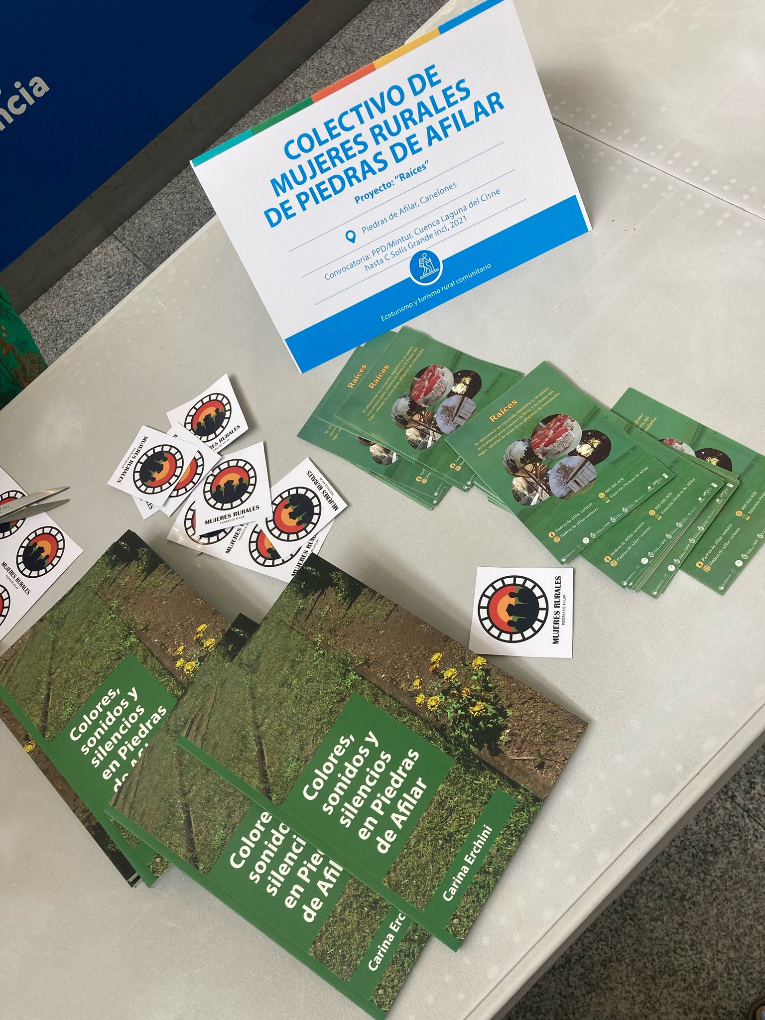 Texto descriptivo de la imagen