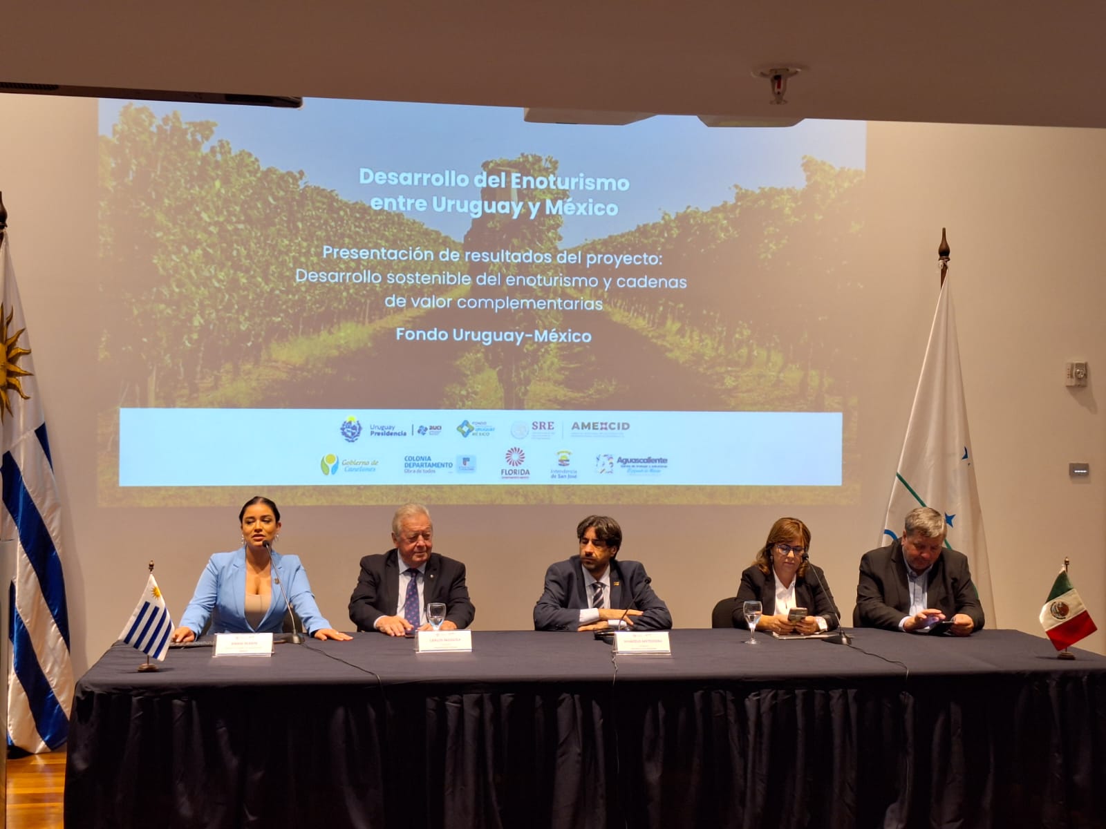 Texto descriptivo de la imagen