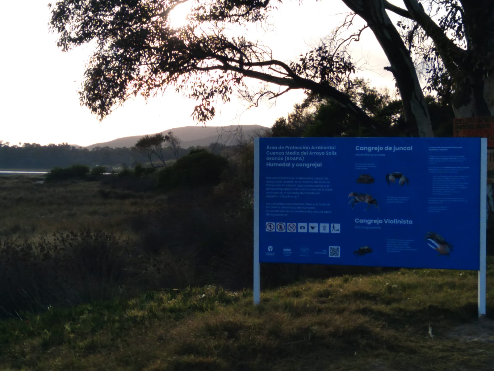 Texto descriptivo de la imagen