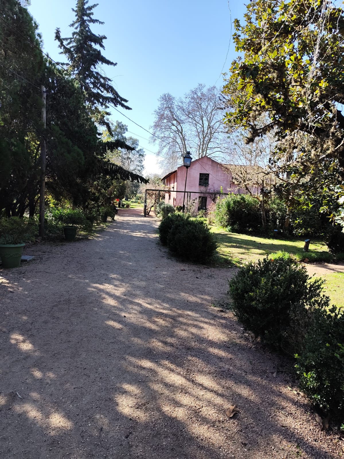 Texto descriptivo de la imagen