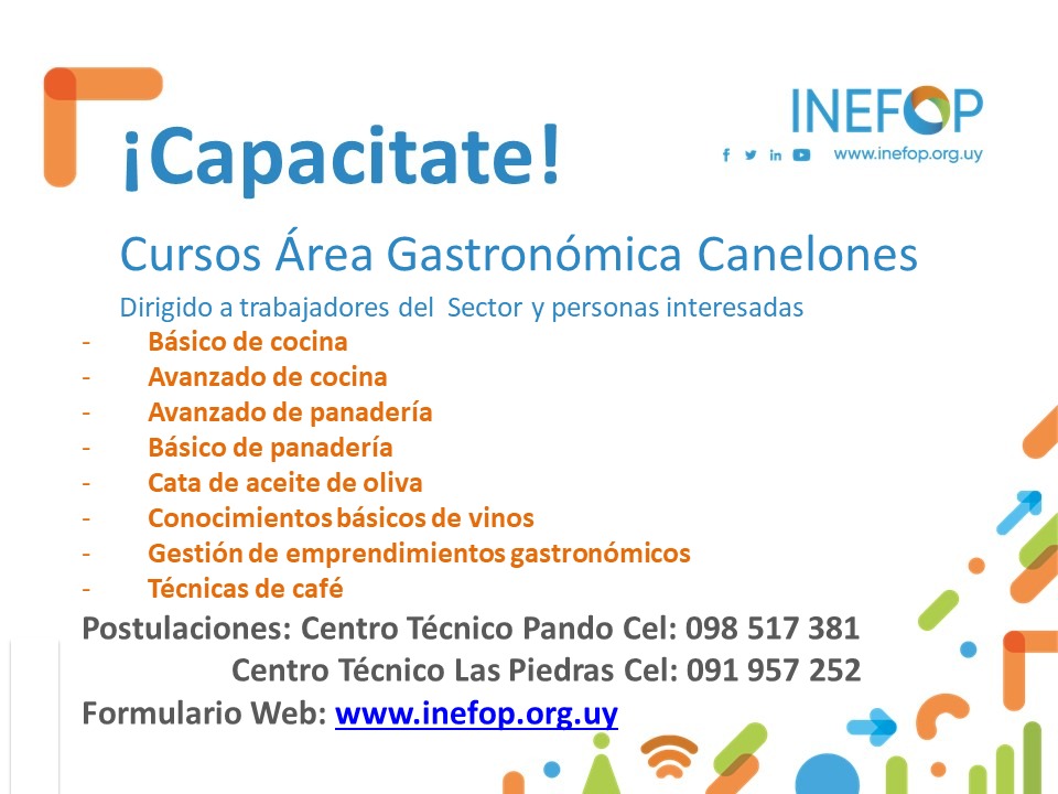 Texto descriptivo de la imagen