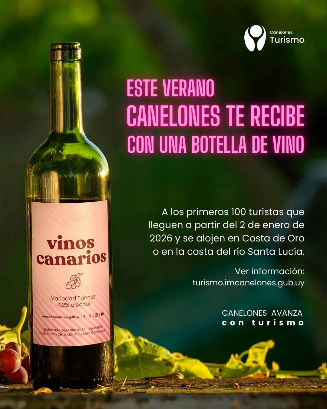 Texto descriptivo de la imagen