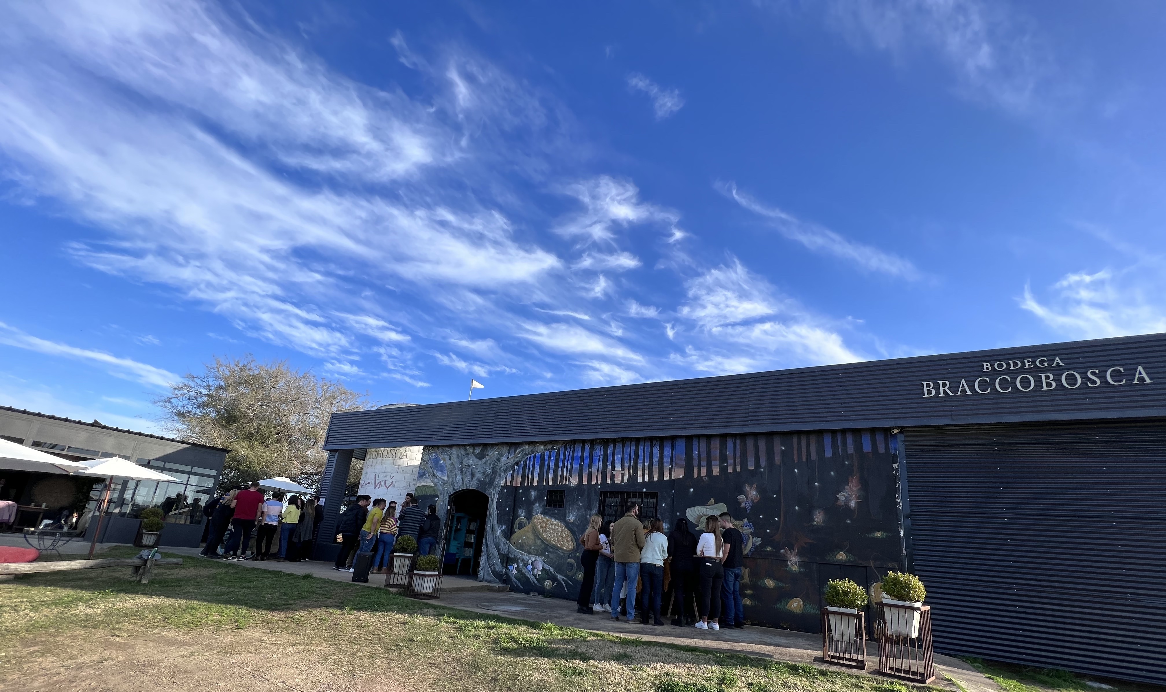 descripcion de imagen