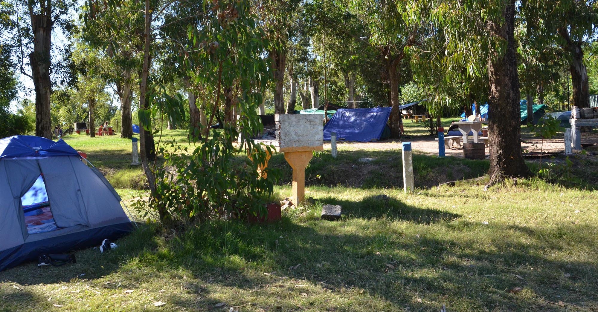 descripcion de imagen