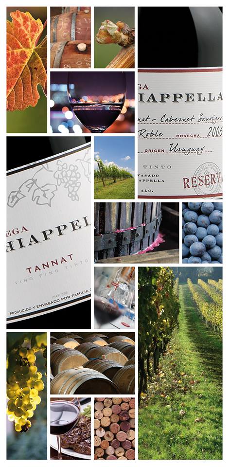 descripcion de imagen