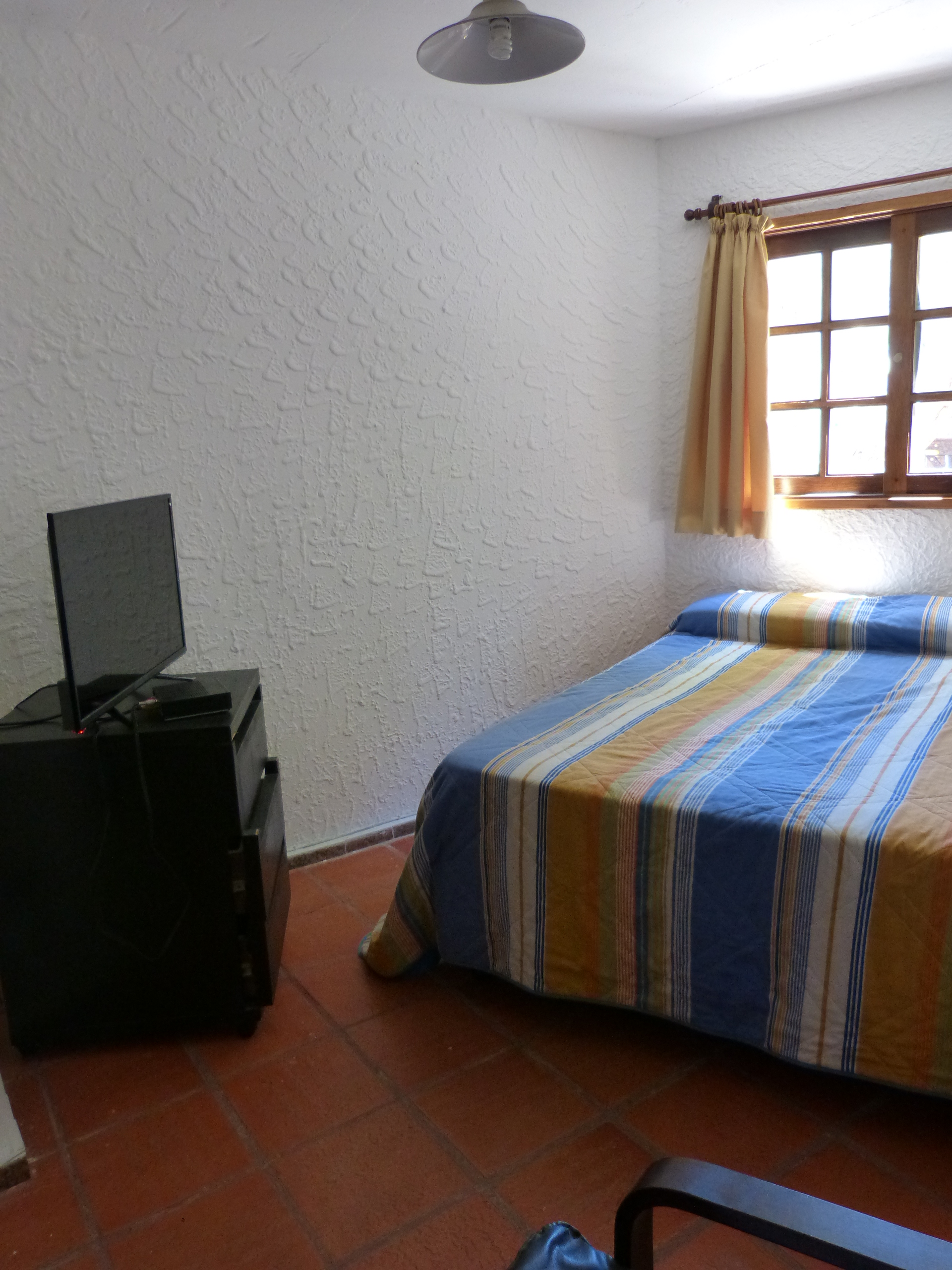 descripcion de imagen