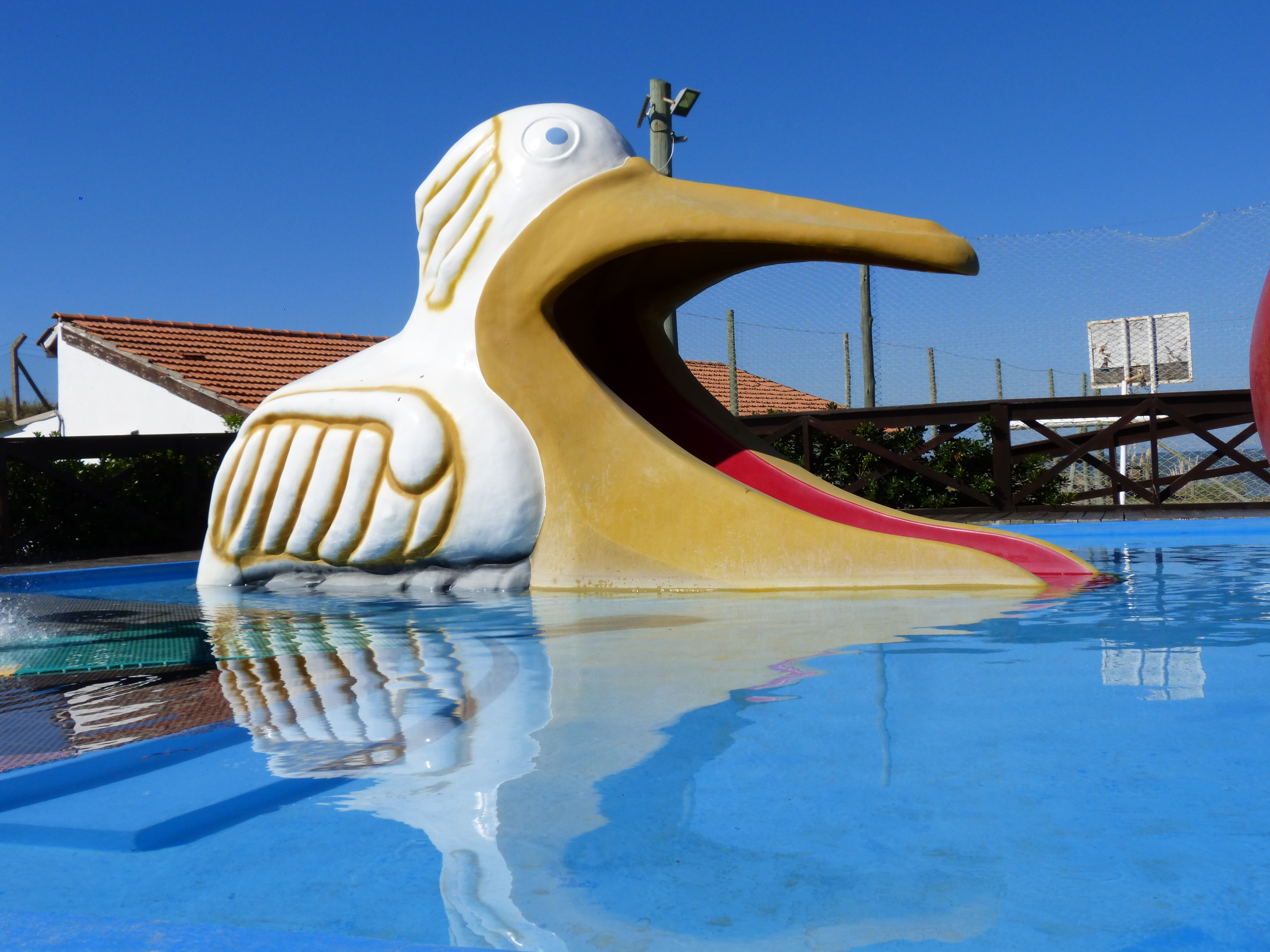 descripcion de imagen