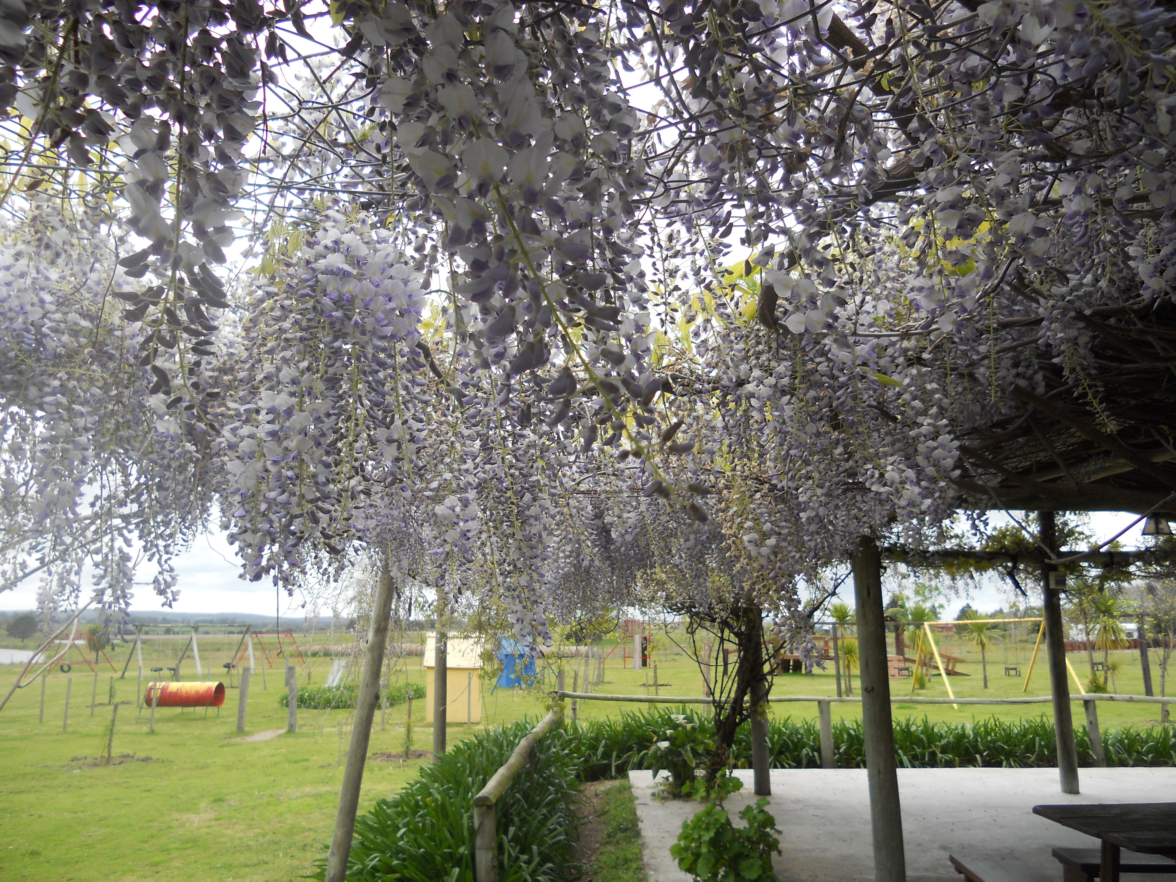 descripcion de imagen