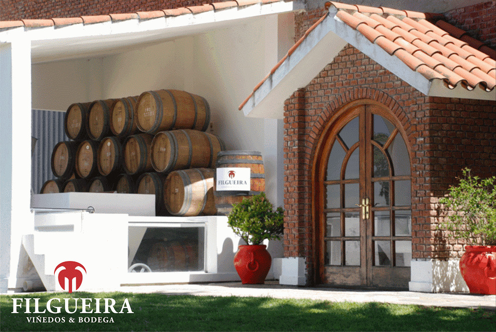 descripcion de imagen