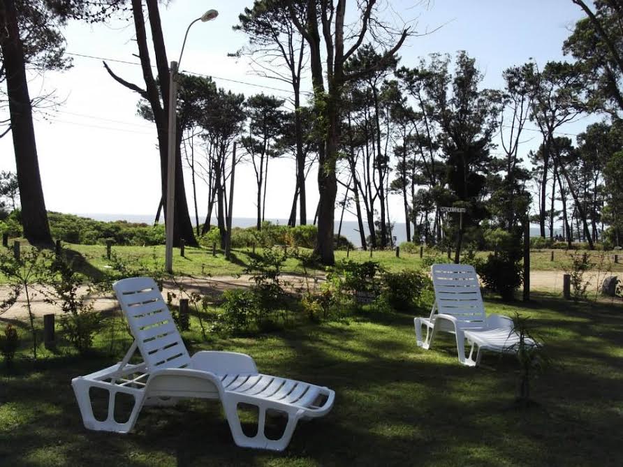 descripcion de imagen