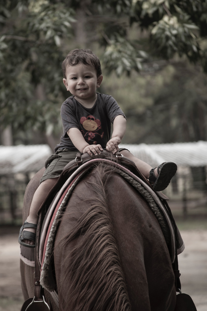 descripcion de imagen