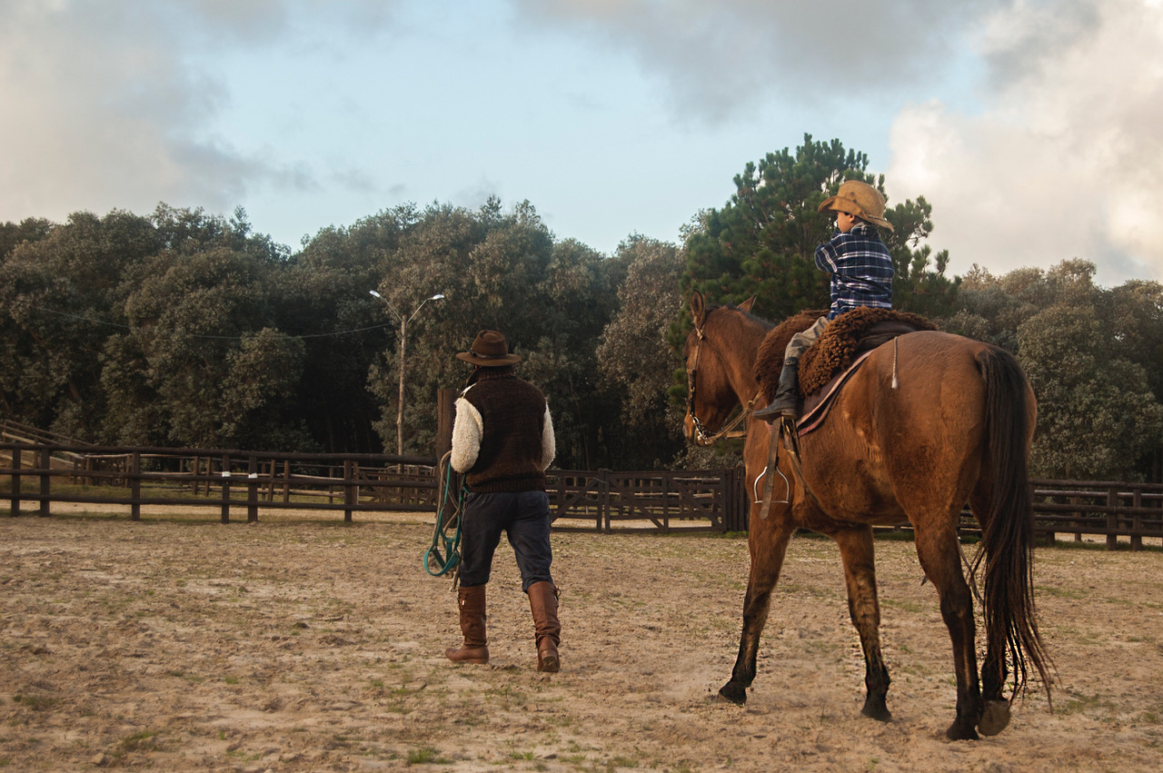 descripcion de imagen