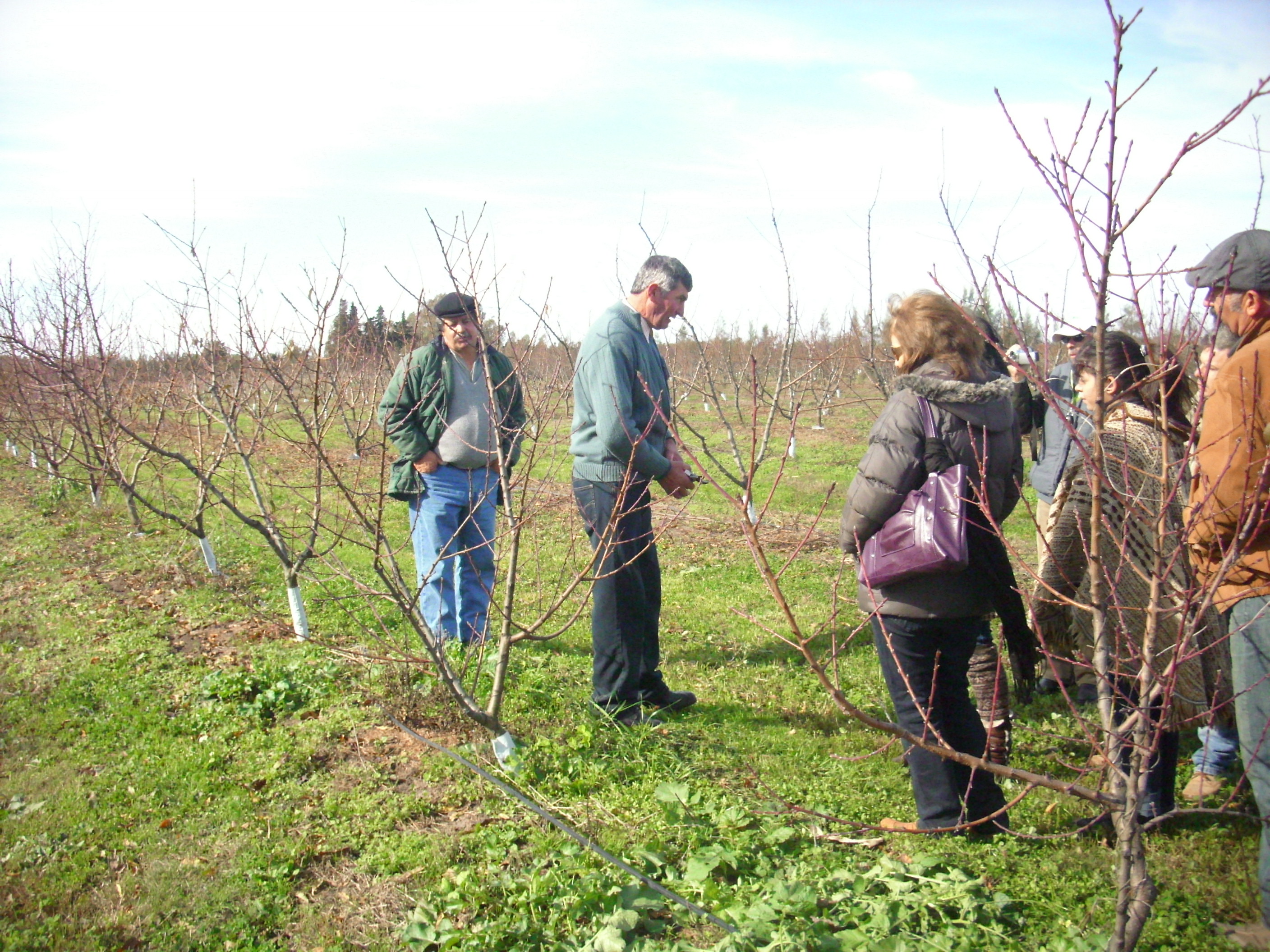 descripcion de imagen