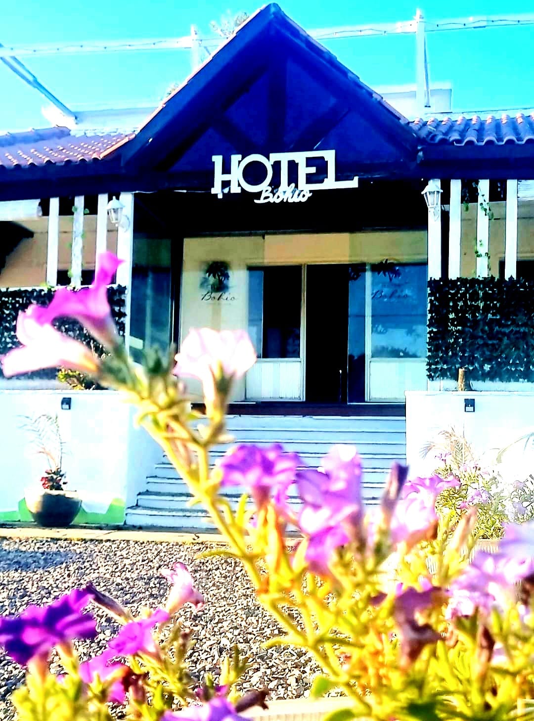 descripcion de imagen