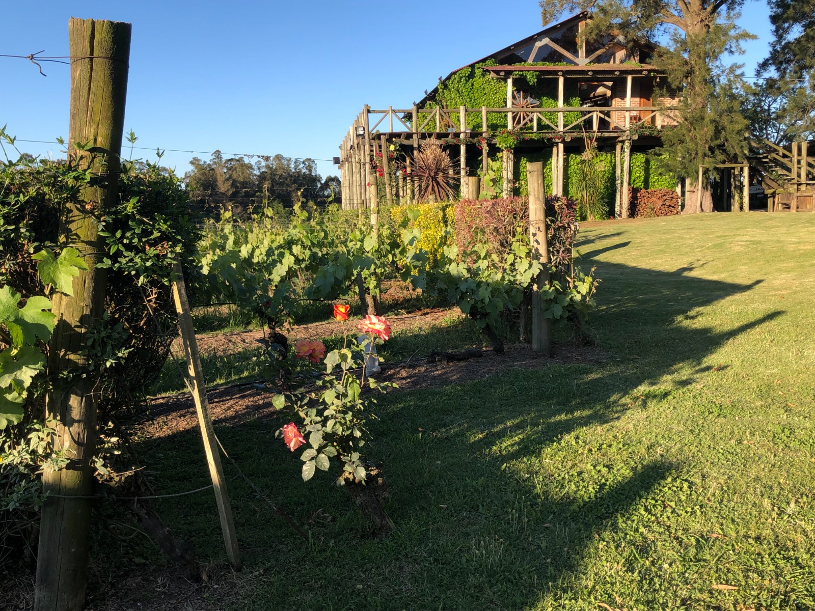 descripcion de imagen