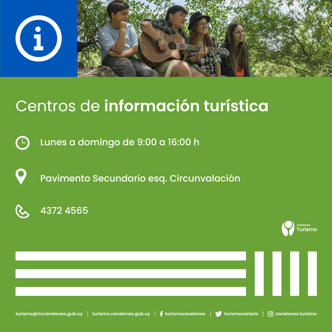 descripcion de imagen