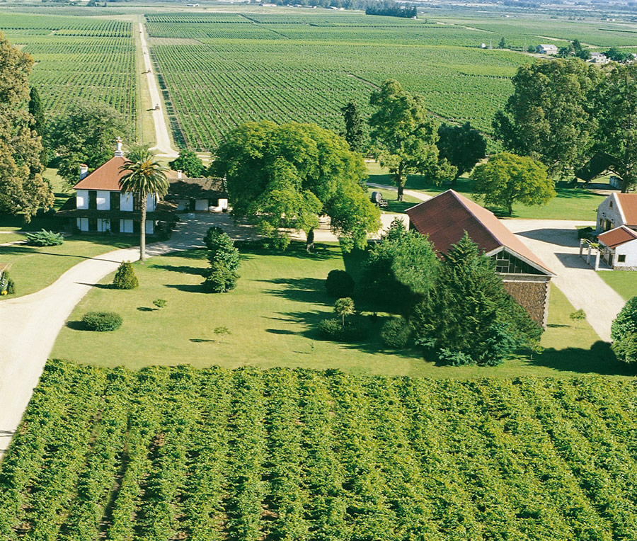 descripcion de imagen