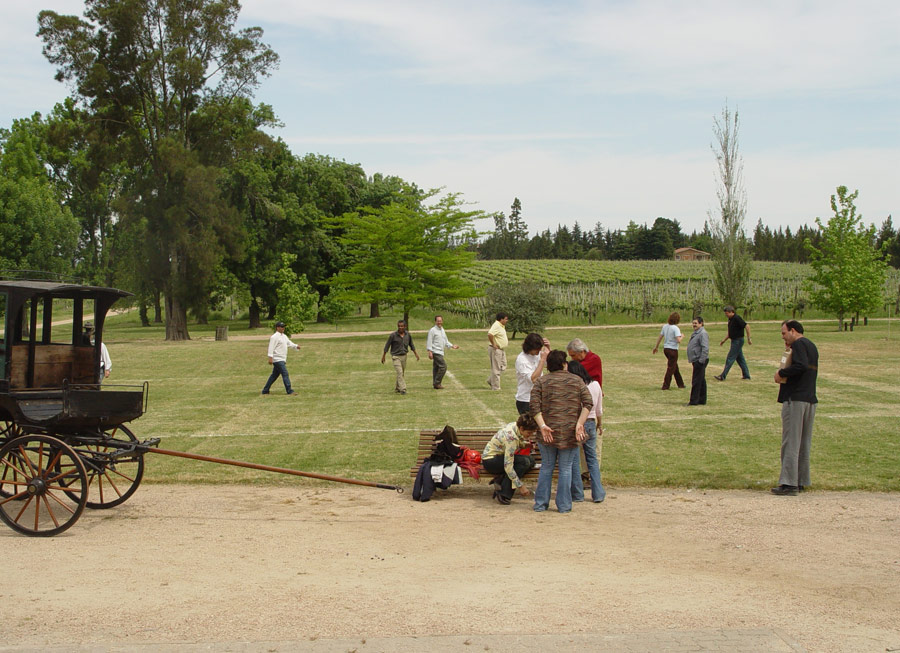 descripcion de imagen