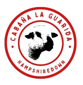 descripcion de imagen