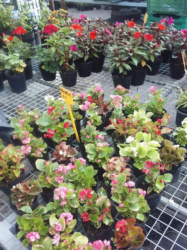 descripcion de imagen