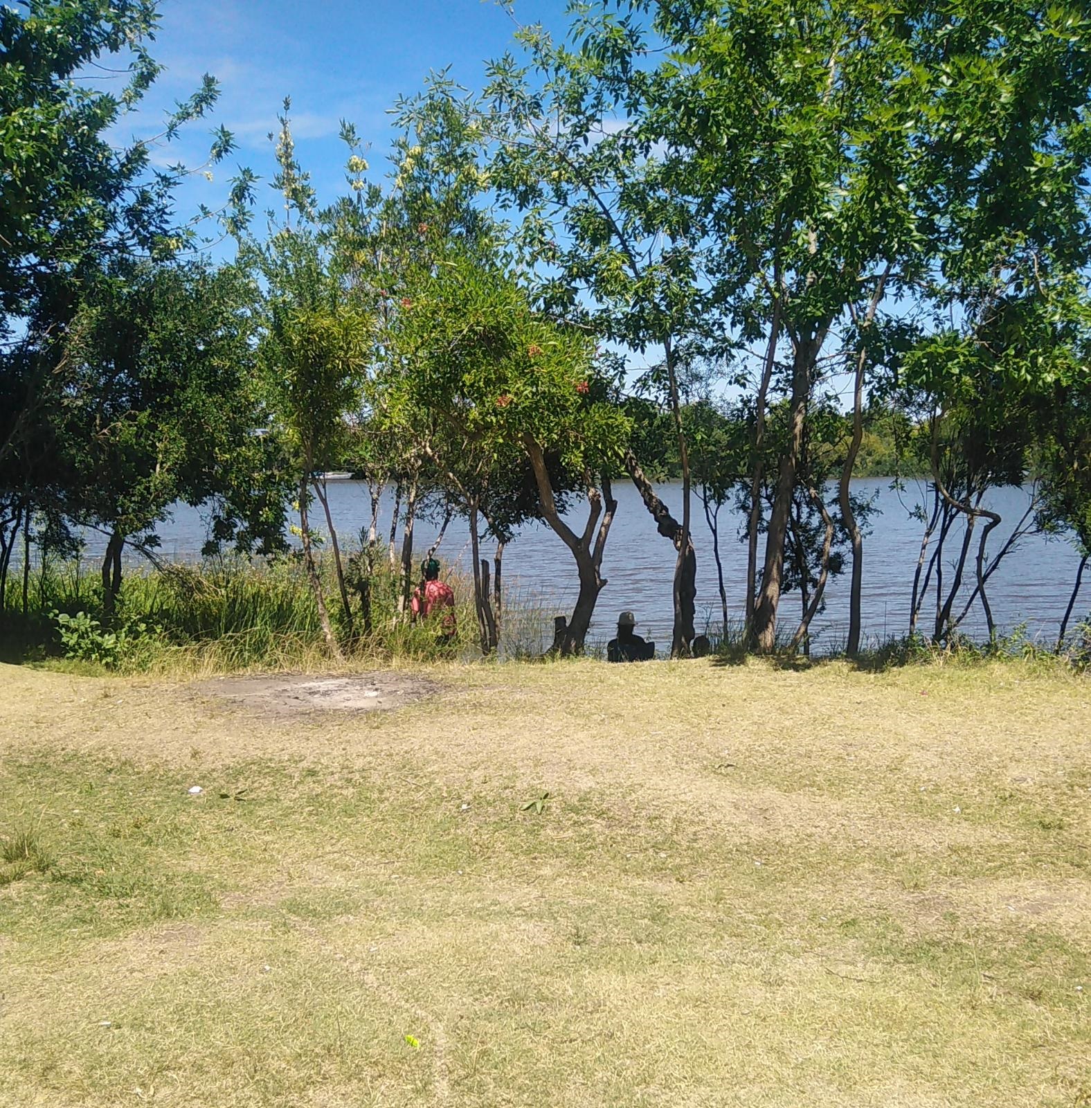 descripcion de imagen