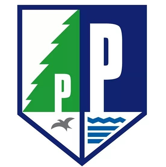 descripcion de imagen